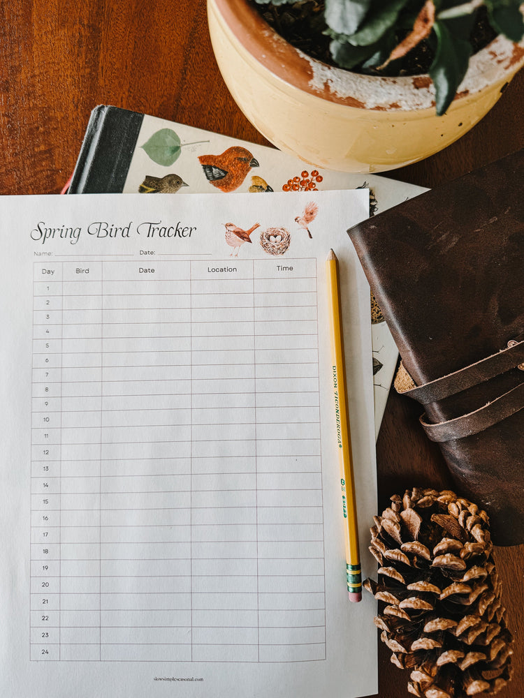 Spring Bird Tracker