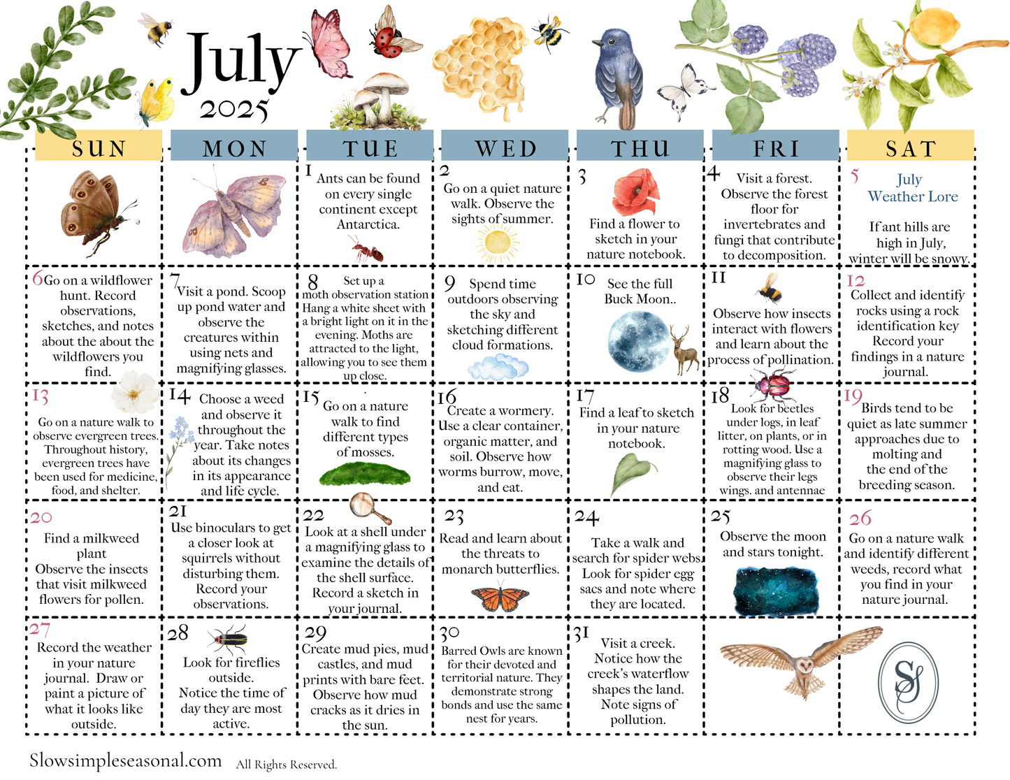 July 2025 Nature Calendar