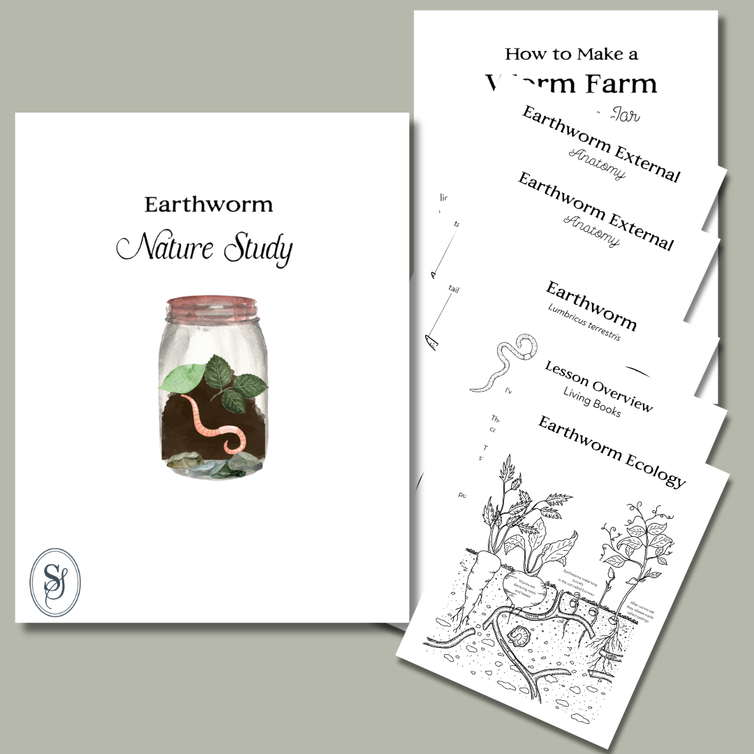Earthworm Mini Nature Study – Slow.Simple.Seasonal.