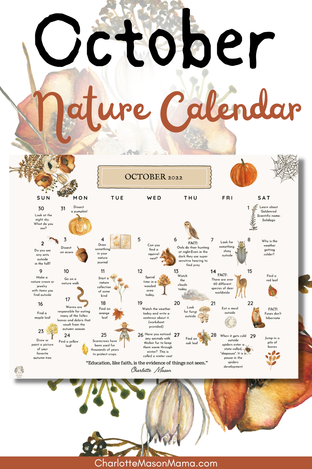 October Nature Calendar
