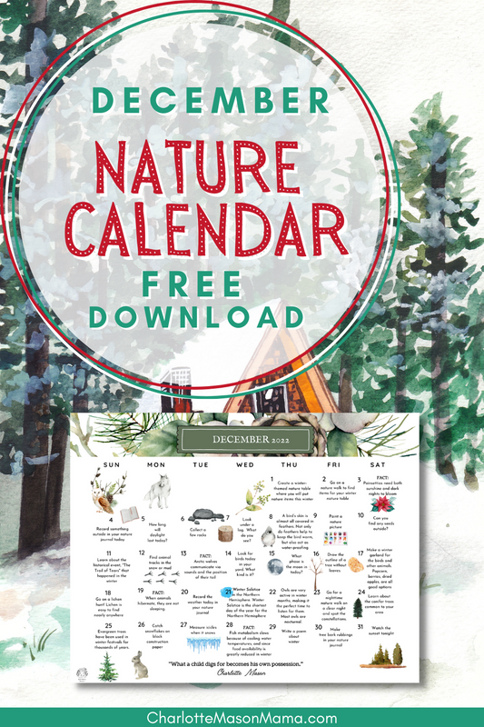 December Nature Calendar