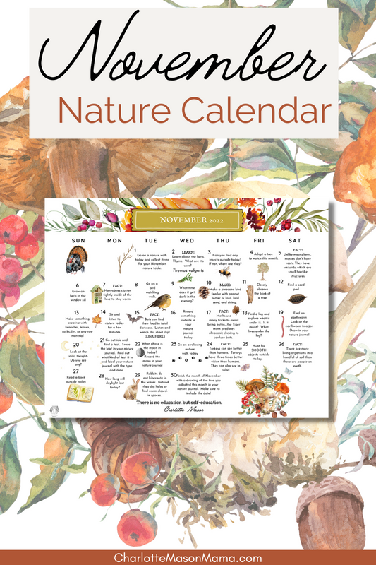 November Nature Calendar