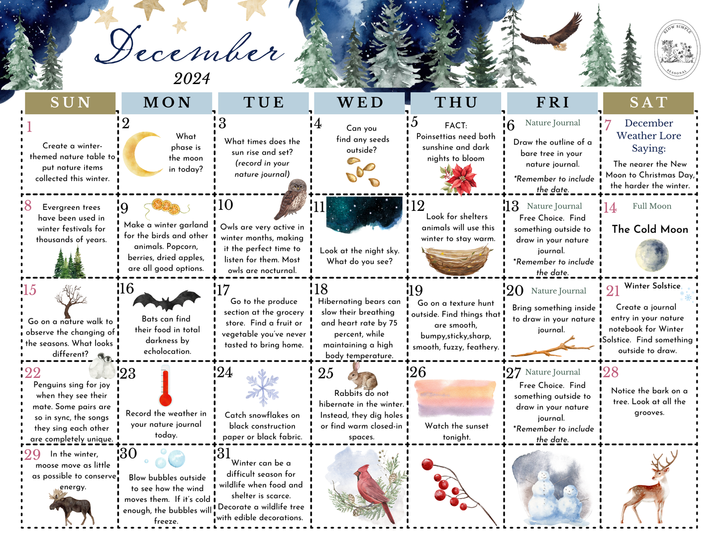 December 2024 Nature Calendar