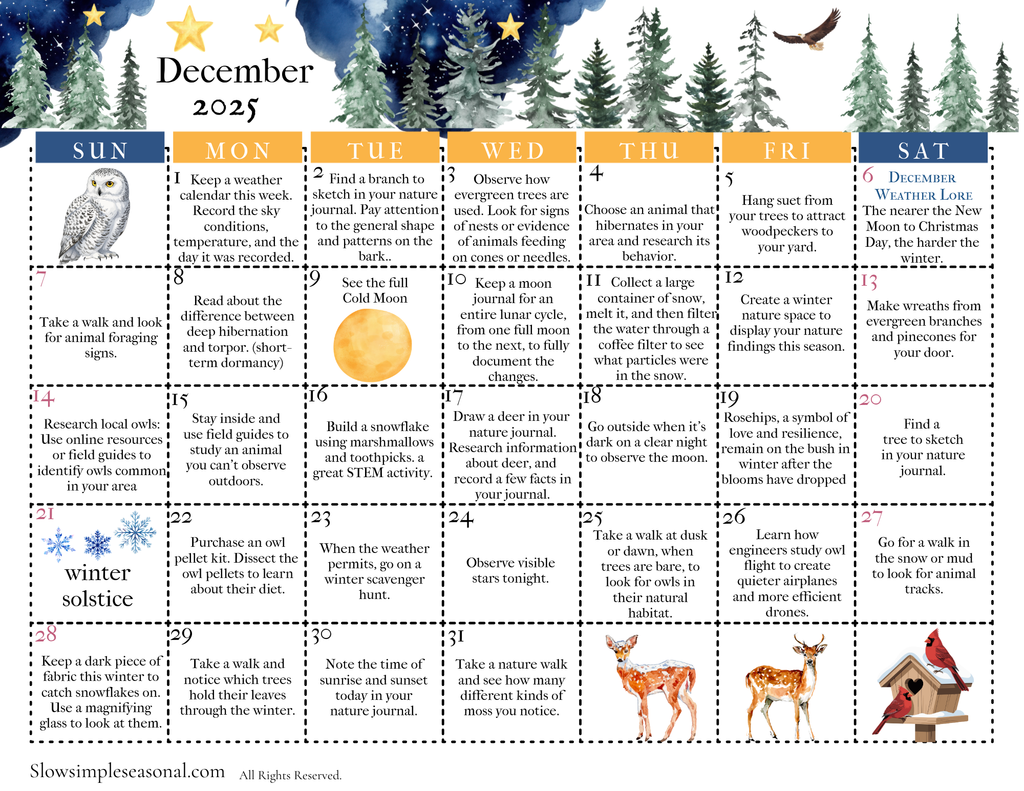 December 2025 Nature Calendar