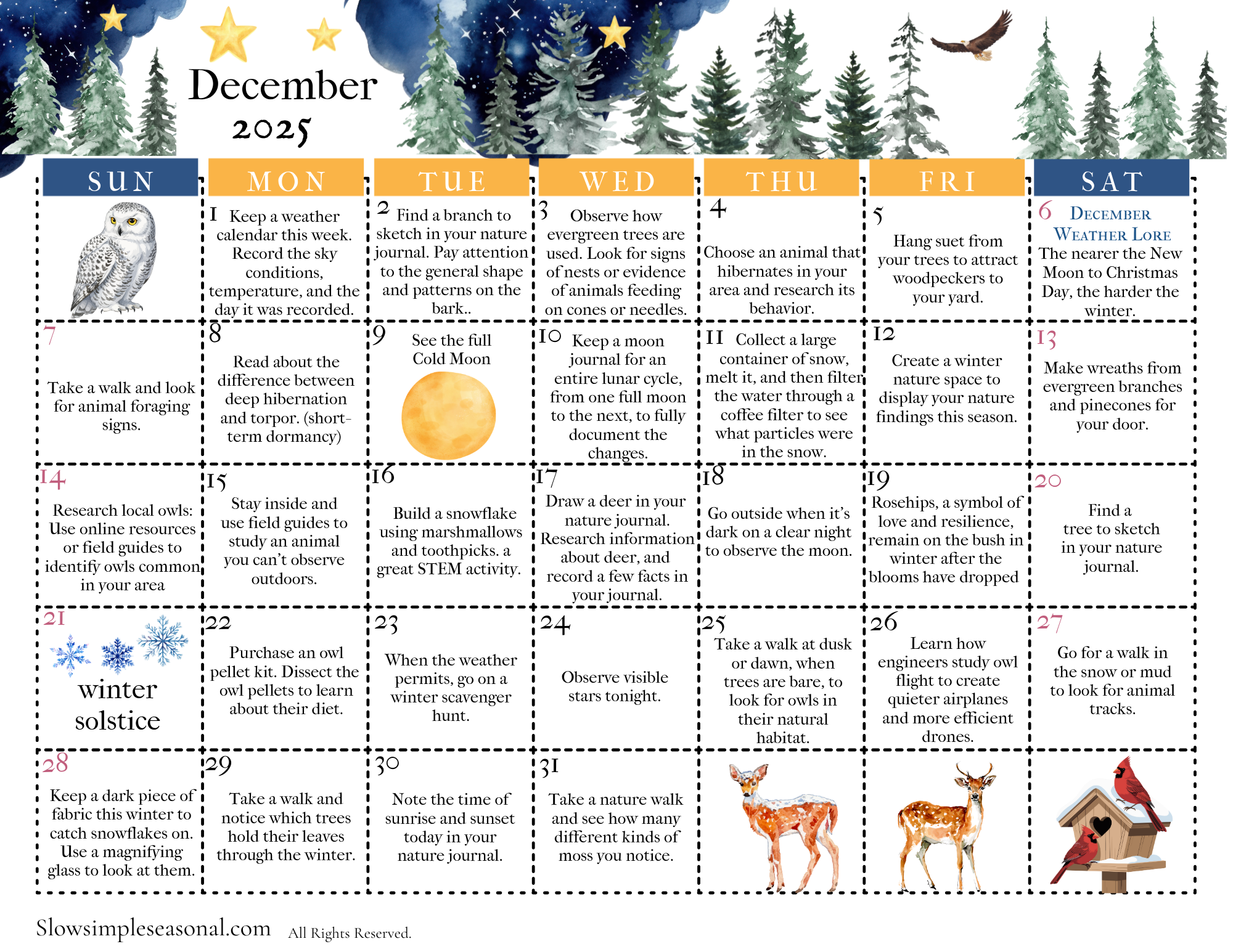 December 2025 Nature Calendar