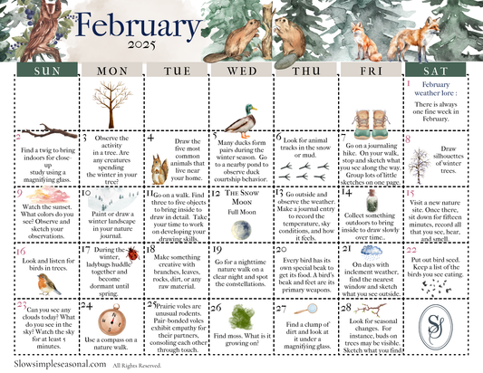 February 2025 Nature Calendar