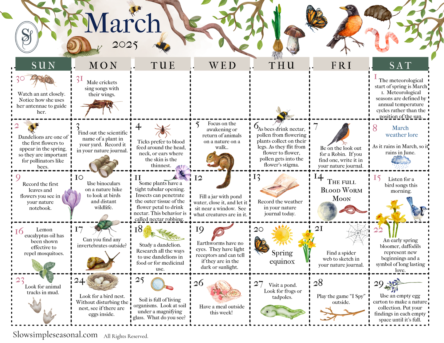 March 2025 Nature Calendar