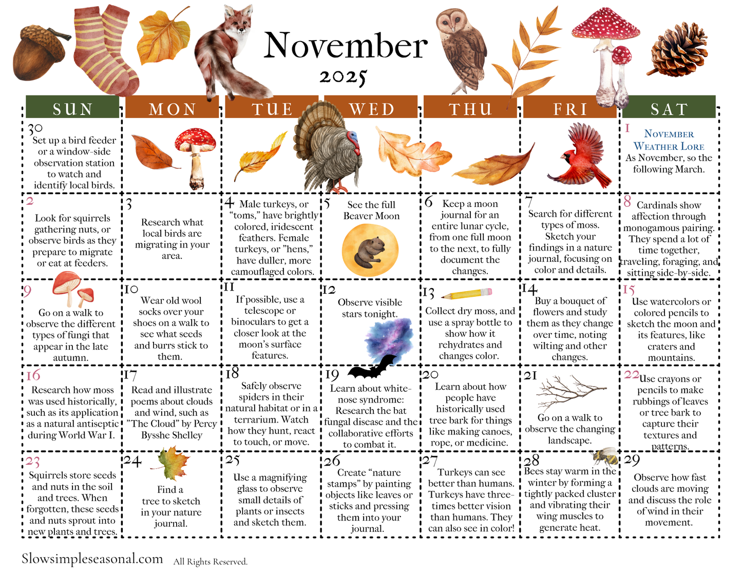 November 2025  Nature Calendar