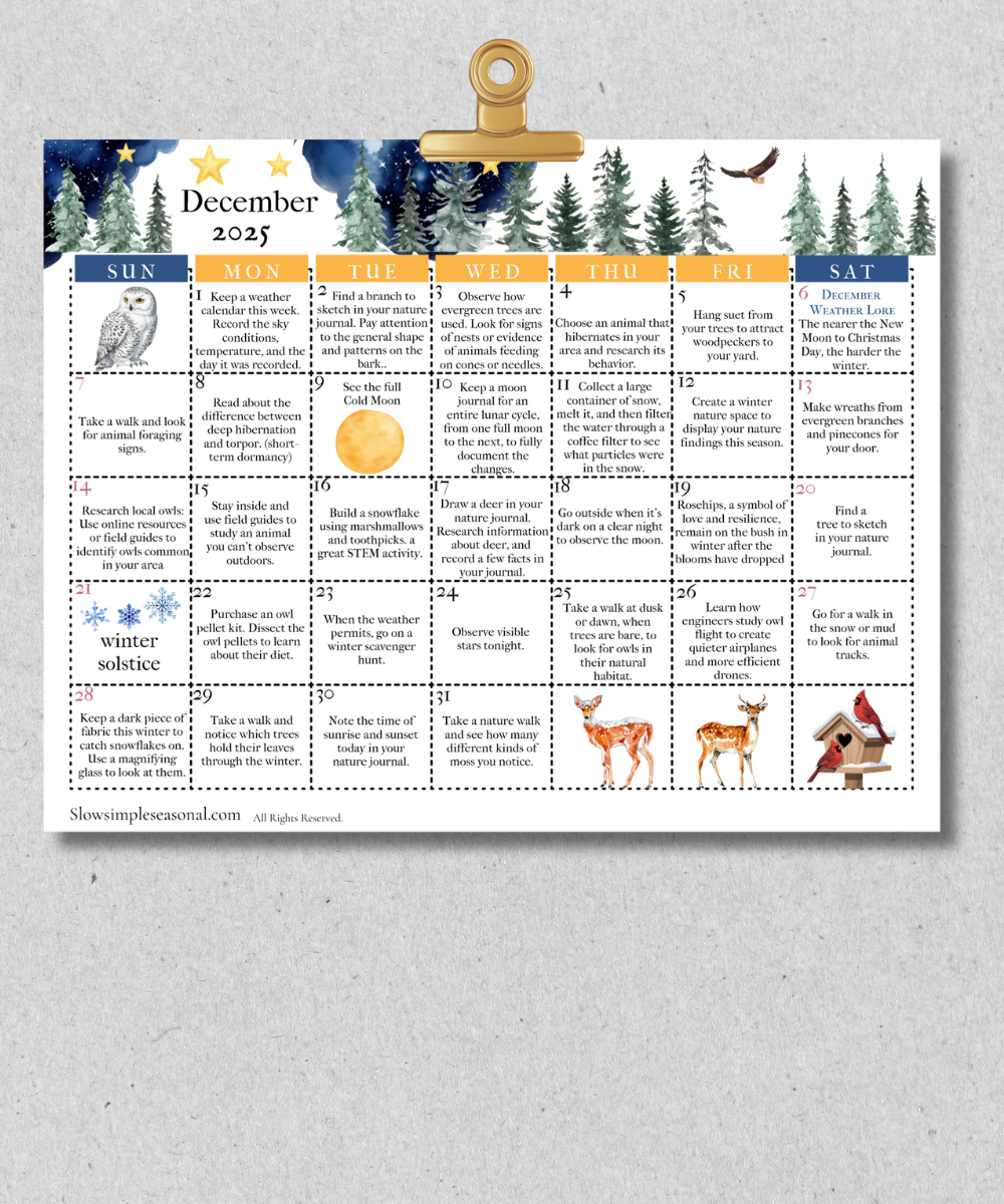 December 2025 Nature Calendar