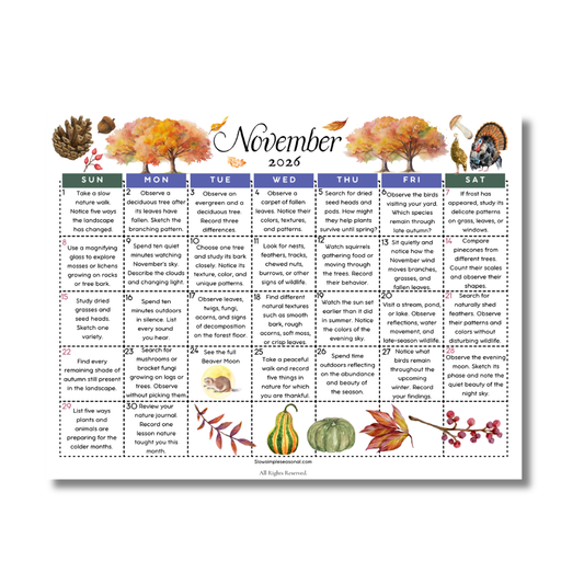 November 2026 Nature Calendar