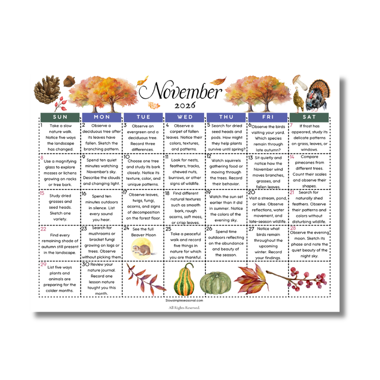 November 2026 Nature Calendar