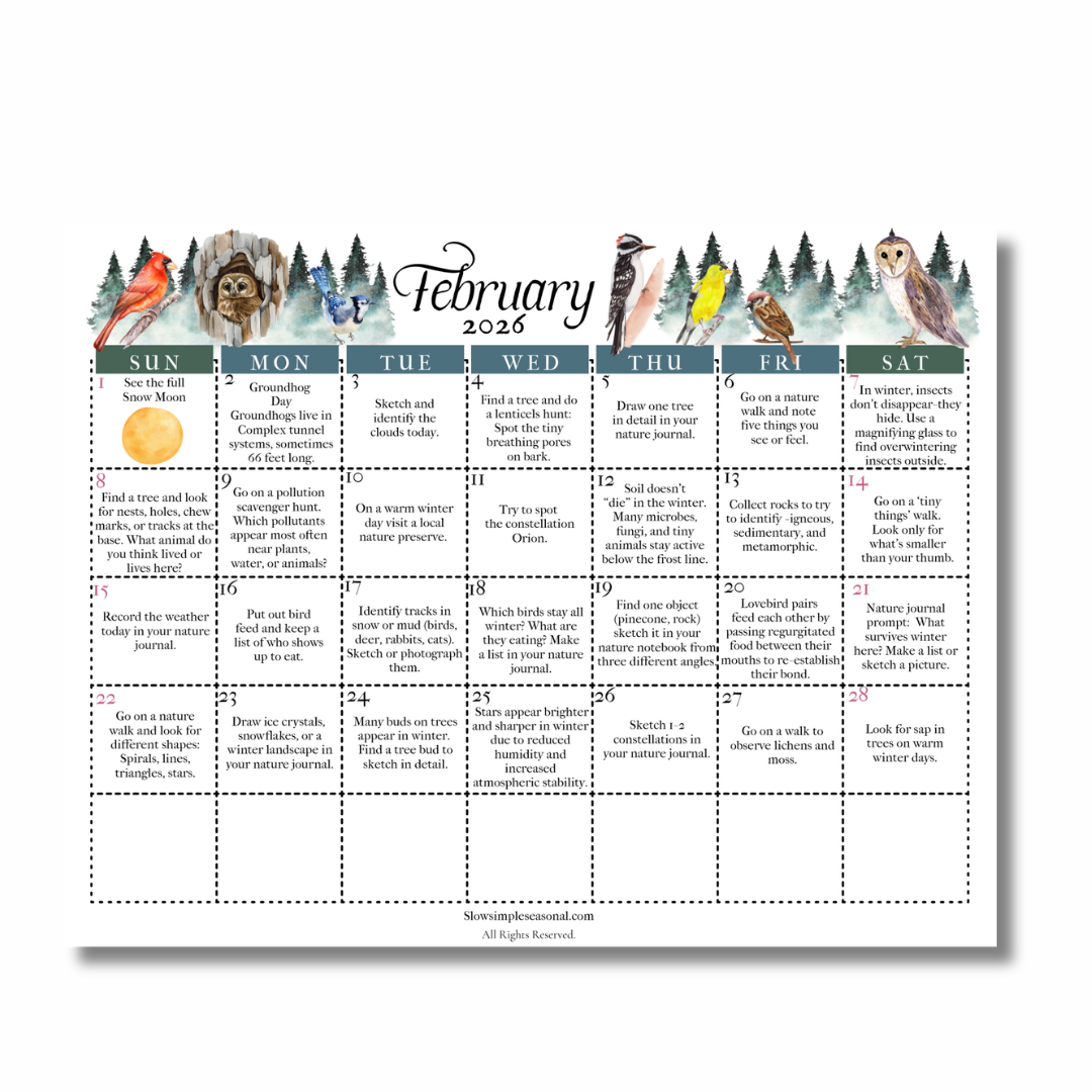 February 2026 Nature Calendar