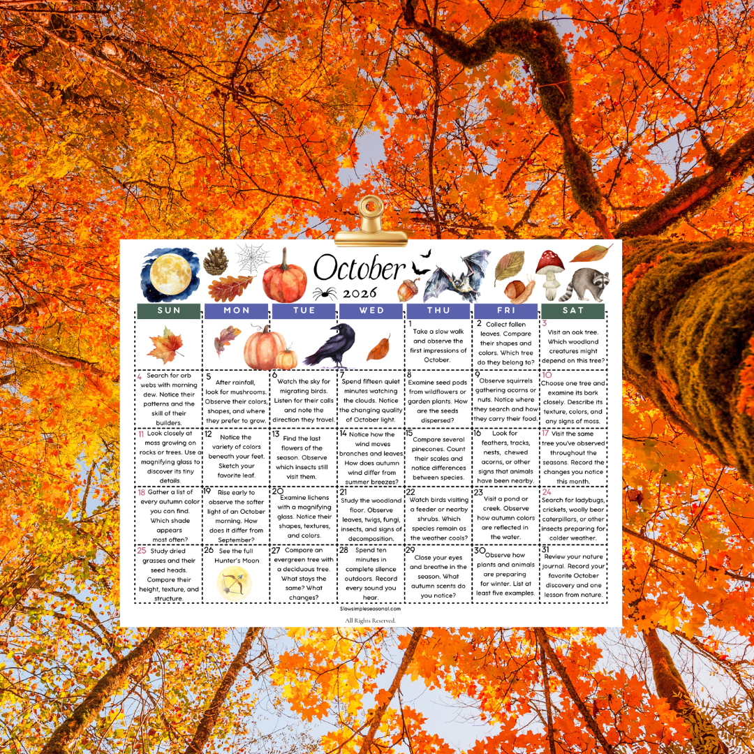October 2026 Nature Calendar
