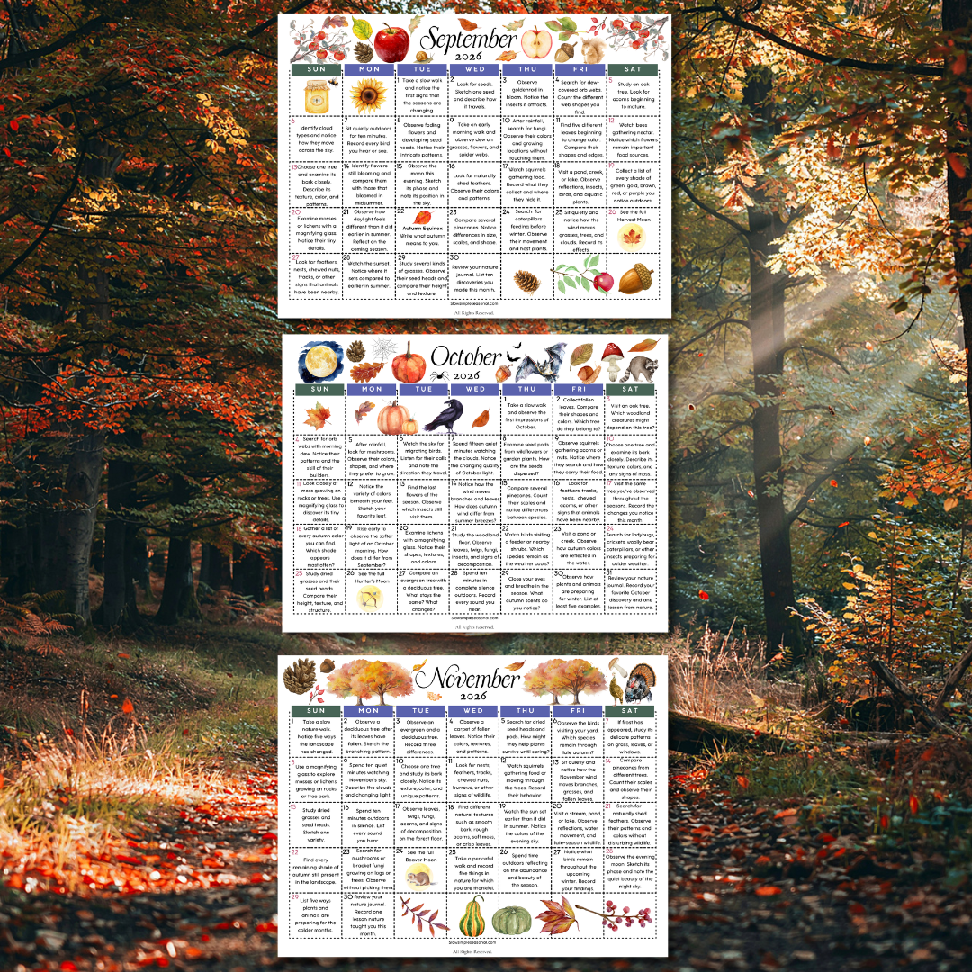 Autumn Nature Calendar Bundle
