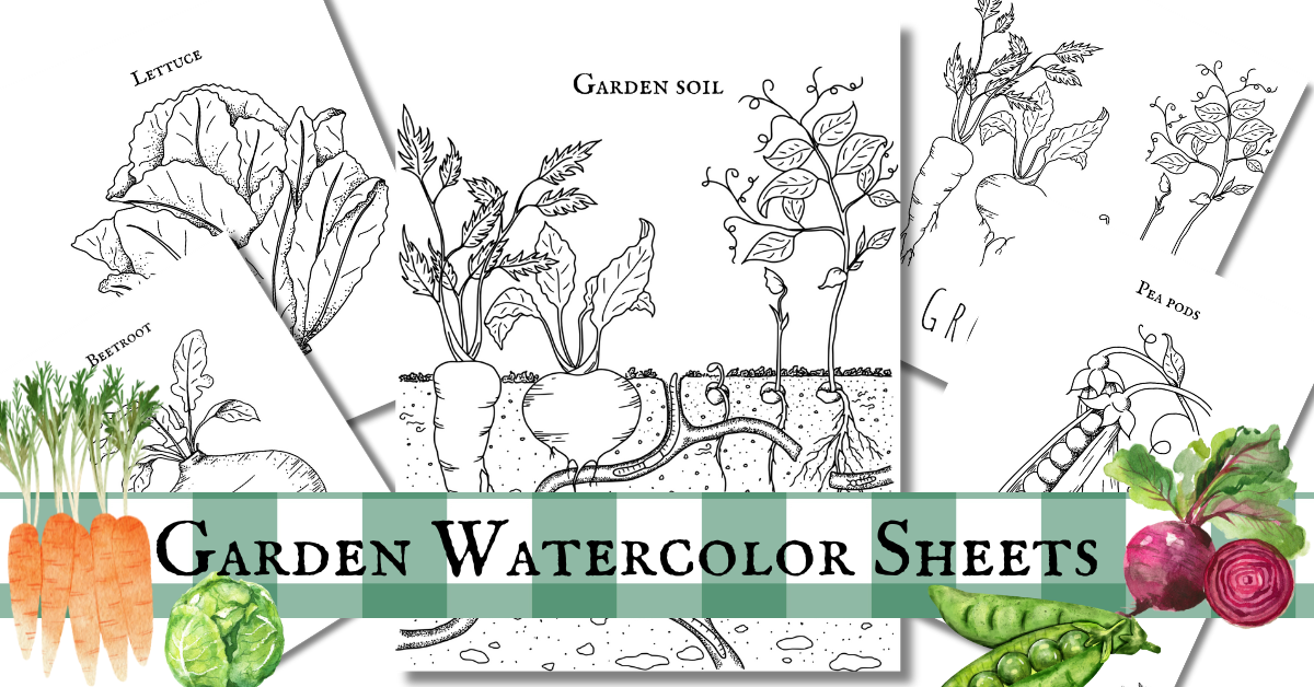 Vegetable Watercolor Sheets