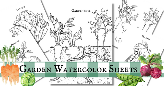 Vegetable Watercolor Sheets