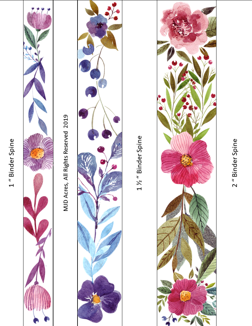 The Enchanted Kindergarten Curriculum