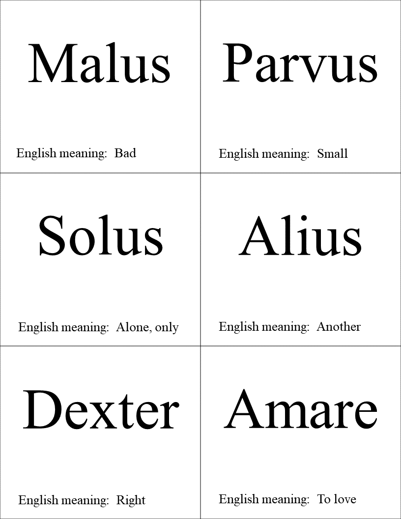 The Enchanted Kindergarten Curriculum